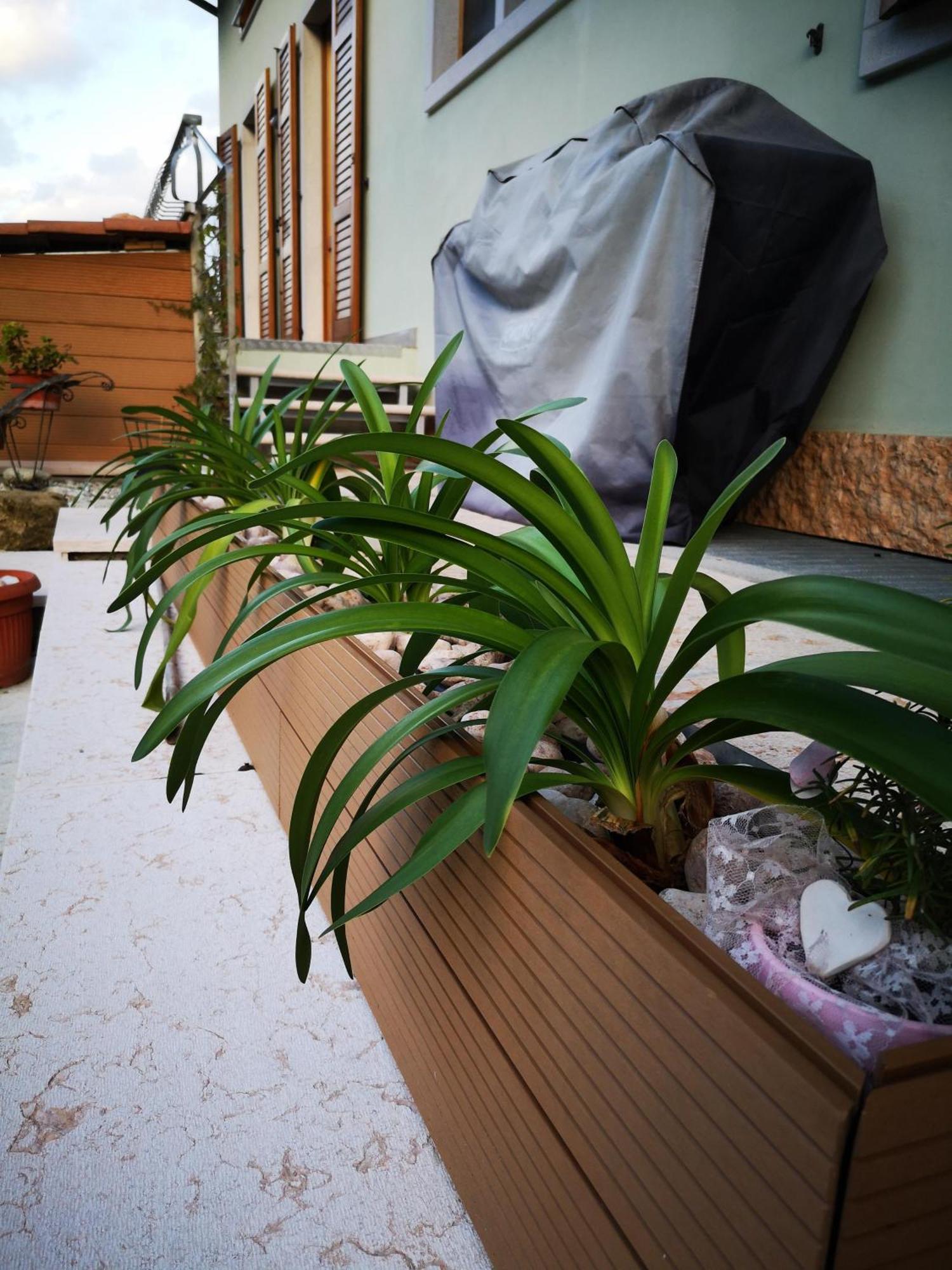 Apartment Sweet Retreat Dro Bagian luar foto